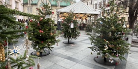 Vánoční trhy v Bratislavě. Foto: Anna Dudková